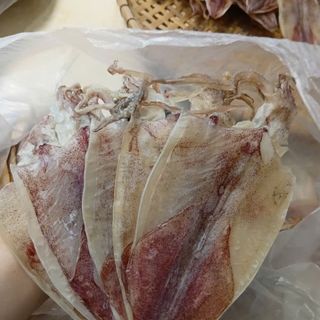 CHUYÊN CUNG CẤP SỈ KHÔ MỰC GHE NHÀ – TRẮNG, NGỌT, ĐỦ SIZE, GIÁ SỈ CẠNH TRANH