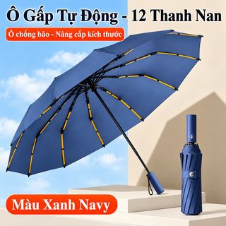 Ô DÙ CHE MƯA, CHE NẮNG 12 NAN TỰ ĐỘNG (T60)