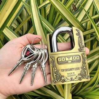Ổ KHÓA CHỐNG CẮT 60mm PADLOCK C6-60H - 4 CHÌA (H12)