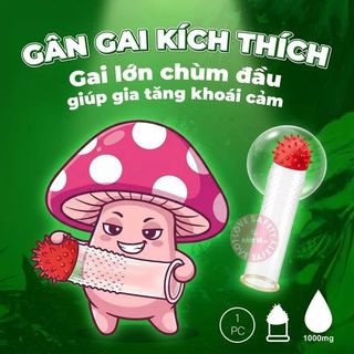 Bao Cao Su Xtoy King Hat Gai Lớn Hương Vani | 1s.