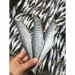 KHÔ CÁ THU CÀ MAU NGUYÊN CON VỪA ĂN, THỊT DAI, CHẮC - 500GR
