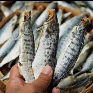 KHÔ CÁ THU CÀ MAU NGUYÊN CON VỪA ĂN, THỊT DAI, CHẮC - 500GR
