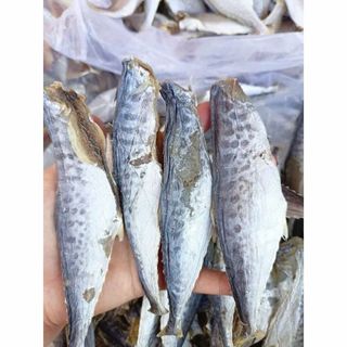 KHÔ CÁ THU CÀ MAU NGUYÊN CON VỪA ĂN, THỊT DAI, CHẮC - 500GR