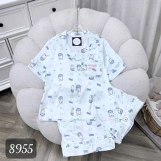 BỘ ĐÙI LATIN VIỀN BÈO (8955)