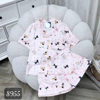 BỘ ĐÙI LATIN VIỀN BÈO (8955)
