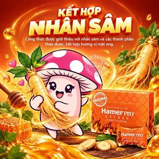 Kẹo Sâm Tăng Cường Sinh Lý Nam Hamer Pro USA | Viên Lẻ.