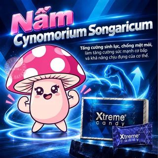 Kẹo Sâm Tăng Cường Sinh Lý Nam Xtreme Malaysia - Viên Lẻ.