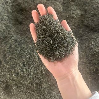 Trà Nõn Tôm Tuyển Chọn 👉 500k/1kg