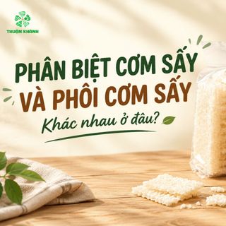 Phân Biệt Cơm Sấy Và Phôi Cơm Sấy – Chỉ Với 5 Tiêu Chí Từ Thuận Khánh