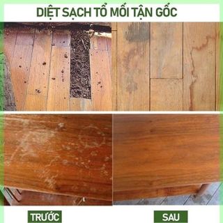 Chai xịt diệt mối mọt Thái Lan GECKO
