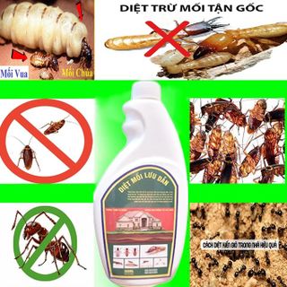 chai xịt diệt mối mọt lưu dẫn