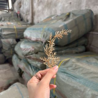 Mẫu bông vàng trang trí tết , phụ kiện hoa trang trí giỏ quà
