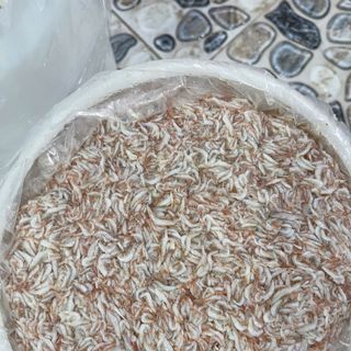 Ruốc muối - Mắm tép Hàn