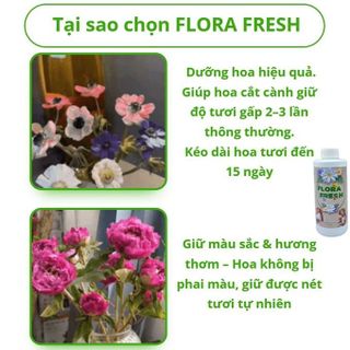 Nước dưỡng hoa chuyên dụng Flora Fresh