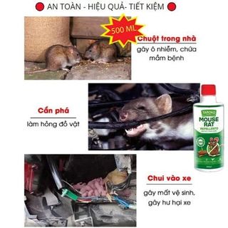 Chai Xịt Đuổi Chuột TAROKO 500ml Nhập Khẩu Đài Loan, Chiết Xuất Thiên Nhiên, Hương Quế An toàn Xua Đuổi Chuột, Gián