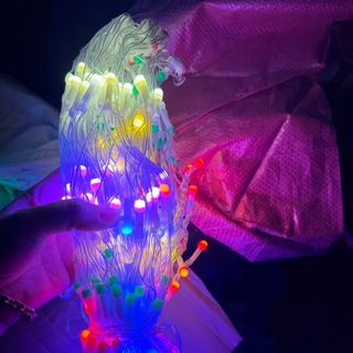 đèn nháy màu đuôi công 10 mét