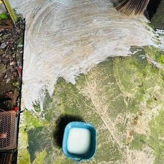 Bột Tẩy Rong Rêu ROCO (Túi 1kg) giá sỉ, giá bán buôn - Thị Trường Sỉ
