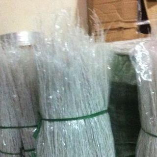 Cây dẻo cắm hoa
