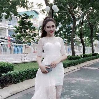 Maxi ren phối lưới