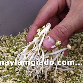 Thiết bị làm giá công nghiệp gv-102
