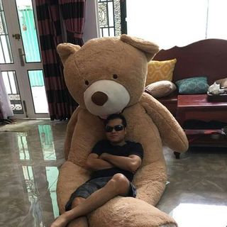 Gấu costco size đại 3m5