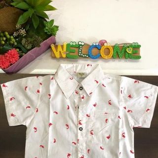 105 sơ mi đại bé trai không phối ri 6 size 7-12