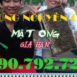 Mật ong nhà vườn nguyên chất