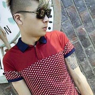 Áo thun cổ trụ hàn quốc họa tiết chấm bi