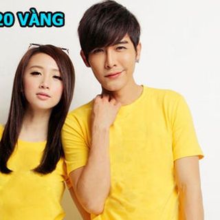 A-120 áo thun trơn cổ tròn vàng ana fashion