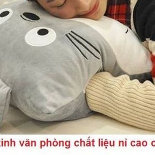 Gối ôm totoro có chăn 1m08 ms002