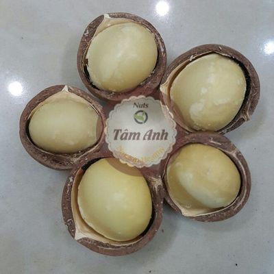Tâm Anh Nut
