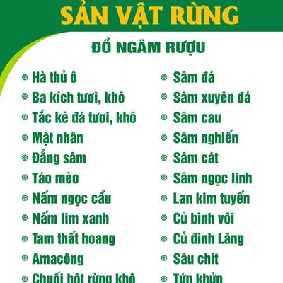 Sản Vật Rừng