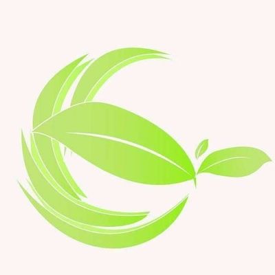 GREEN SHOP NEW