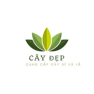 cây đẹp