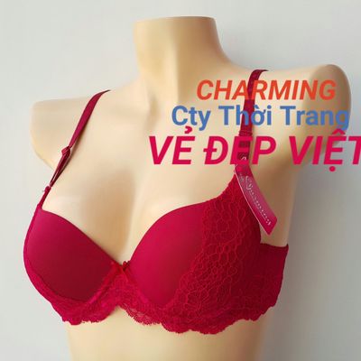 Công ty TNHH Thời Trang Vẻ Đẹp Việt