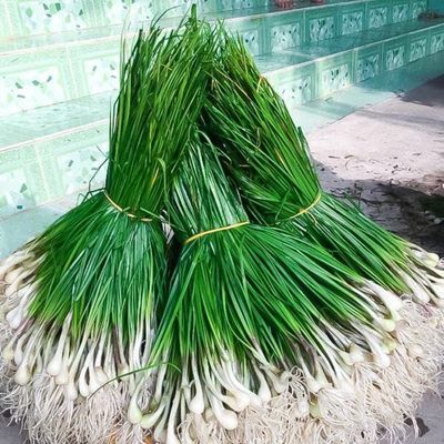 Củ Kiệu Tết Miền Trung