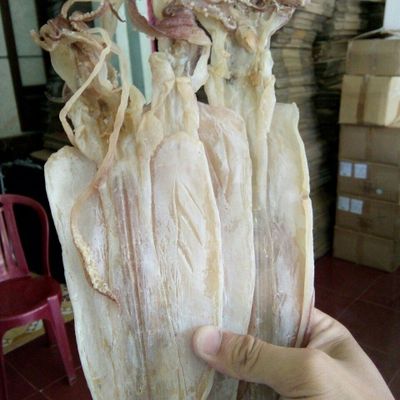 KHÔ MỰC GIÁ SỈ