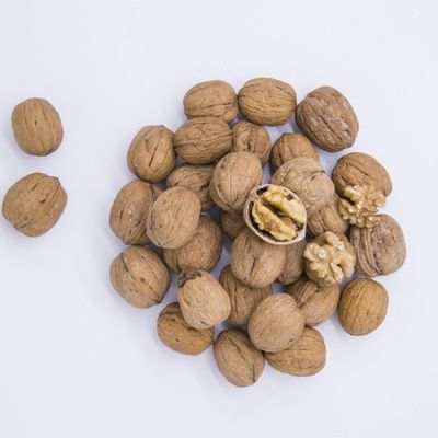 Nhập khẩu hạt dinh dưỡng