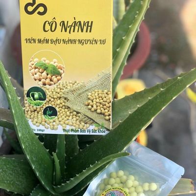 Sỉ Mầm Đậu Nành