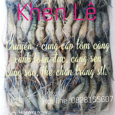  Lê Hoàng Khen