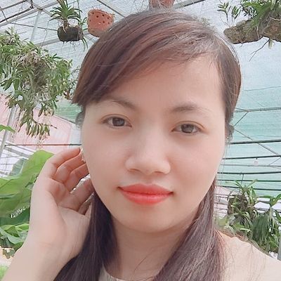 Luận  Vũ
