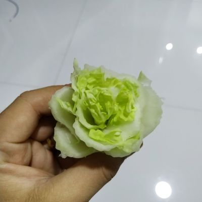 Sumal_Shop