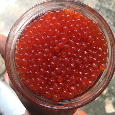 Trứng cá hồi