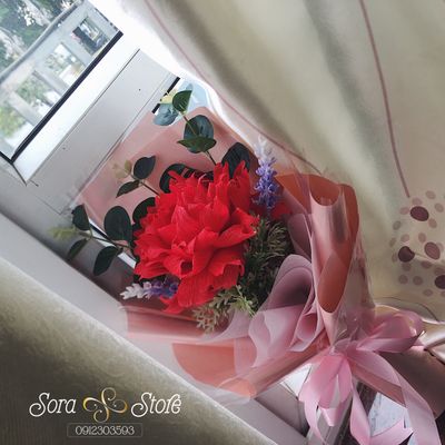 Sora Store