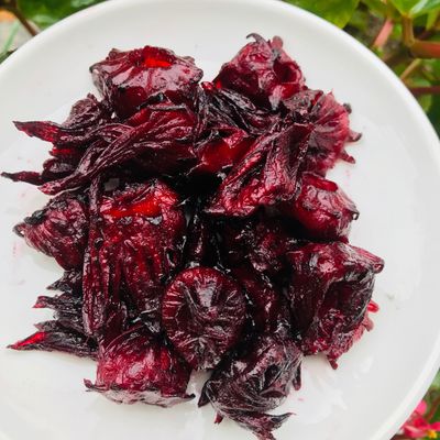 Khoa hibiscus