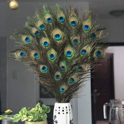 Đồ chơi Điều khiển