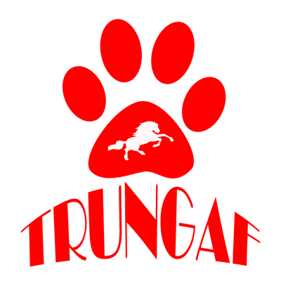 Võ phục TrungAF