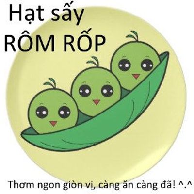 Rôm Rốp