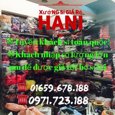 Trùm Sỉ Hàng Rẻ Hani Nguyễn Thảo Hiền