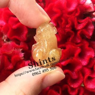 Phong thuỷ Sỉ và Lẻ Shintshop